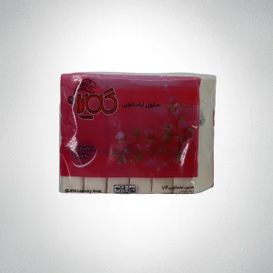 صابون لباسشویی گلایا